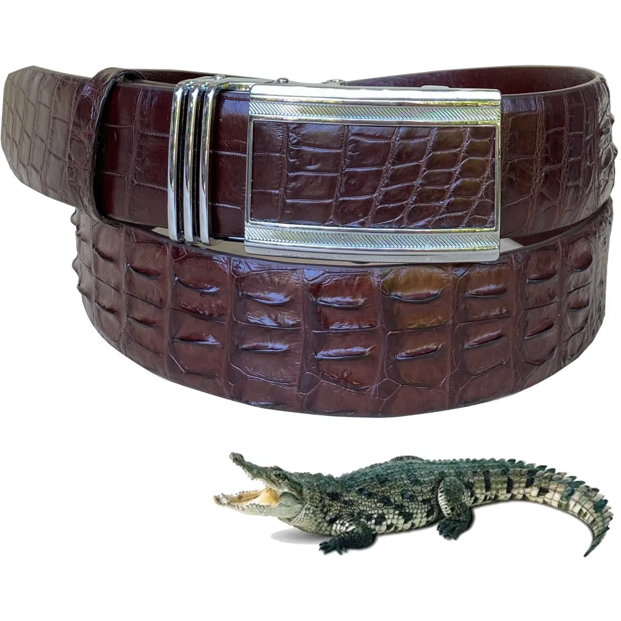 Dark Brown Alligator Hornback  Leather Belt For Men - Automatic Buckle | BEHO33