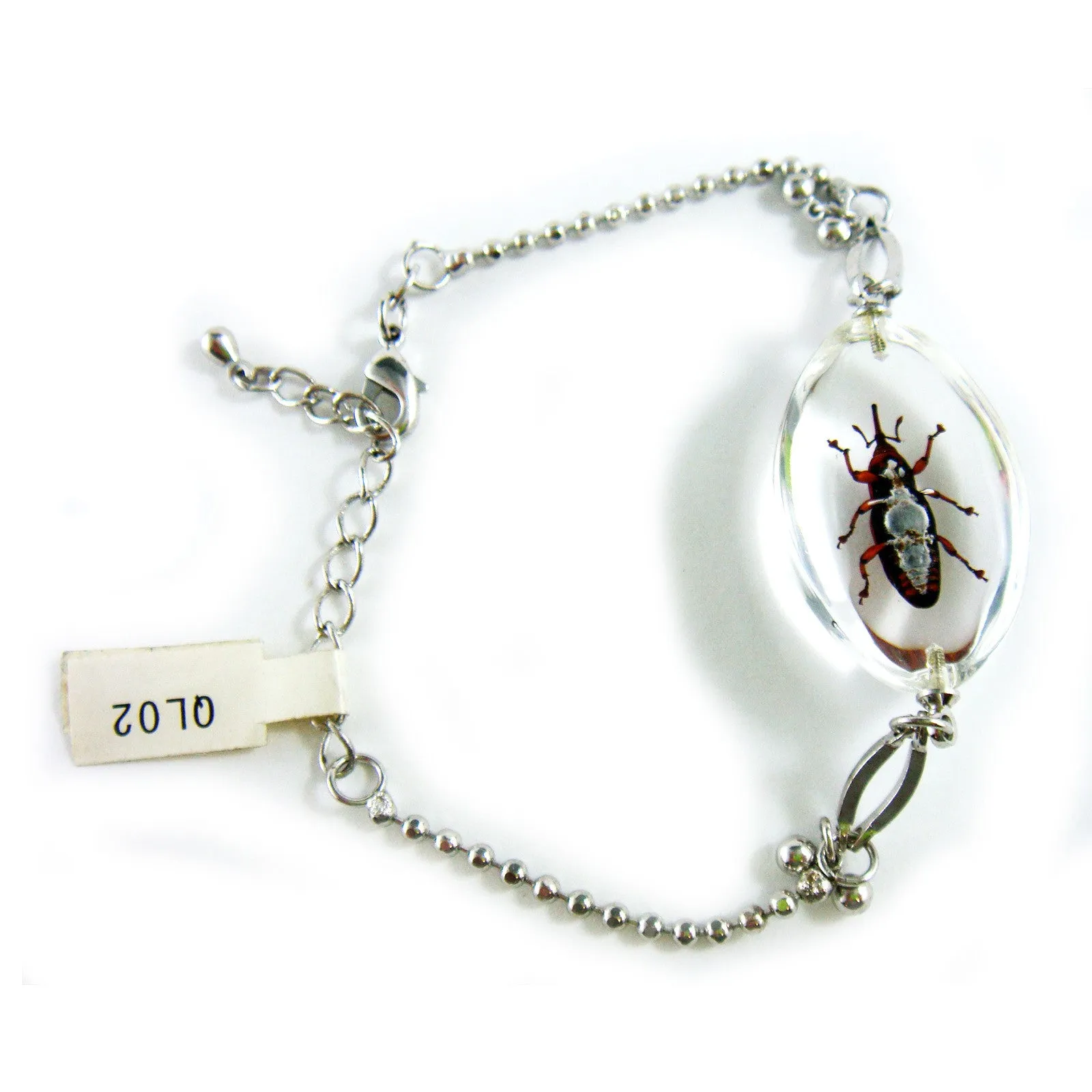 Weevil Oval Bracelet Clear (QL02)